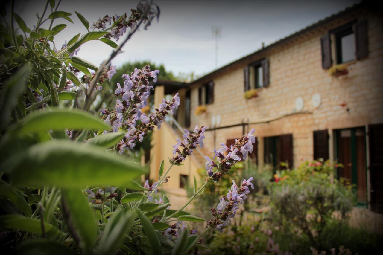 シローロ Campo Del Mare Bed & Breakfast エクステリア 写真
